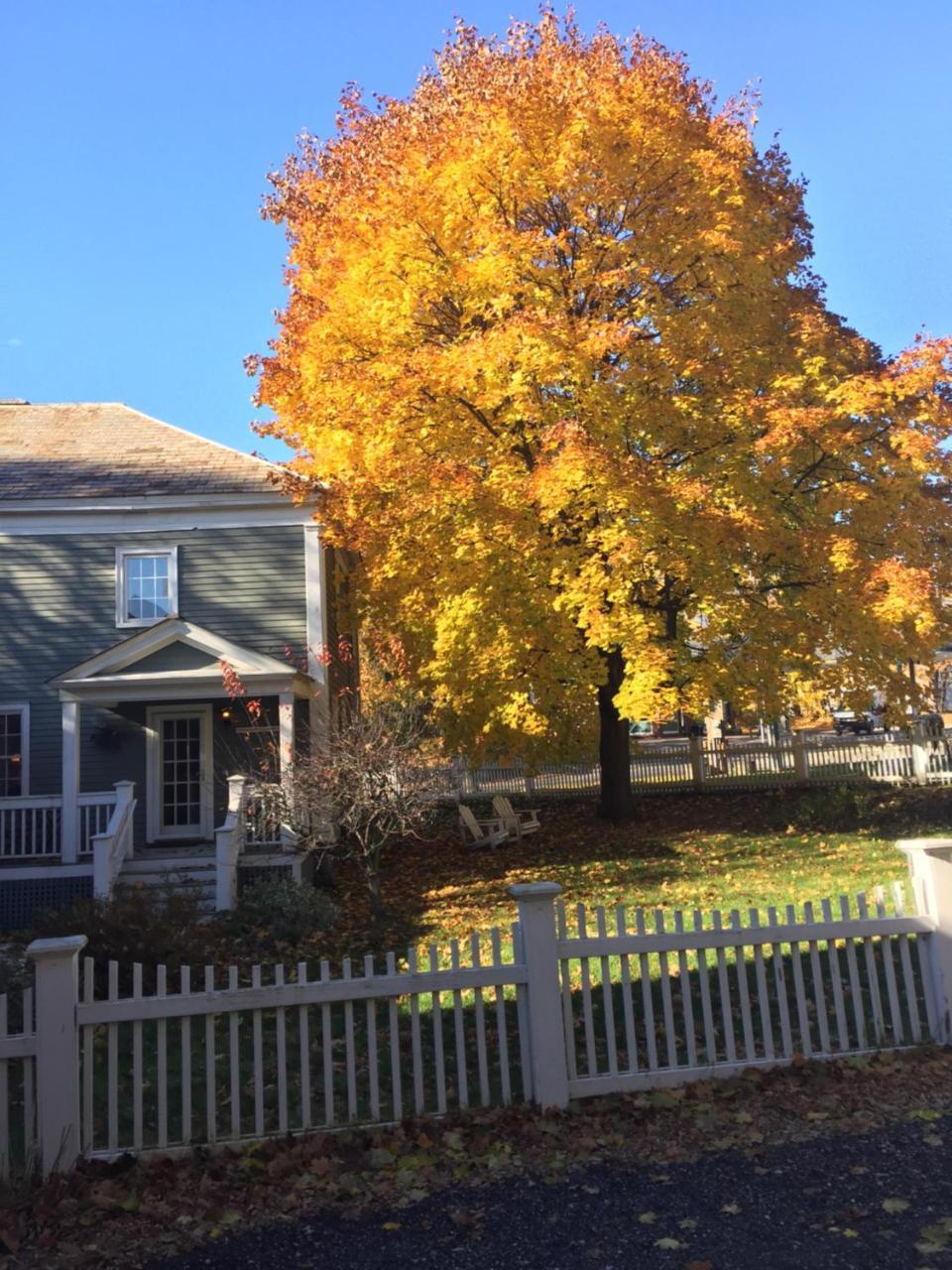 Eddington House Inn North Bennington Buitenkant foto